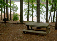 Picnics And Group Gatherings In Red Top Mountain State Park